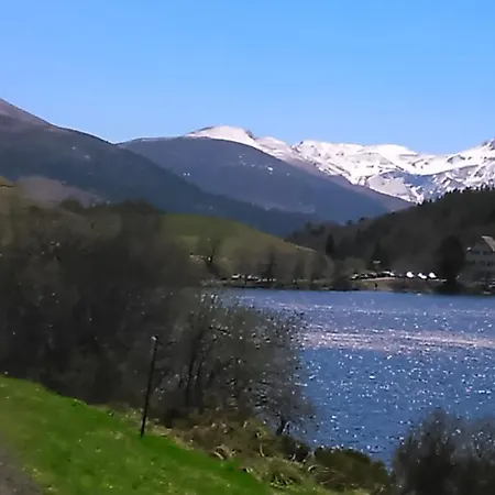 Tulipe, 5 Personnes, Entre Sancy Et Volcans D'auvergne Appartement Orcival