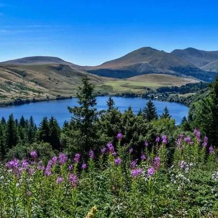 Tulipe, 5 Personnes, Entre Sancy Et Volcans D'auvergne Appartement