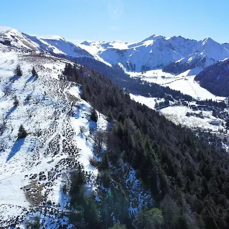 Tulipe, 5 Personnes, Entre Sancy Et Volcans D'auvergne Apartment *