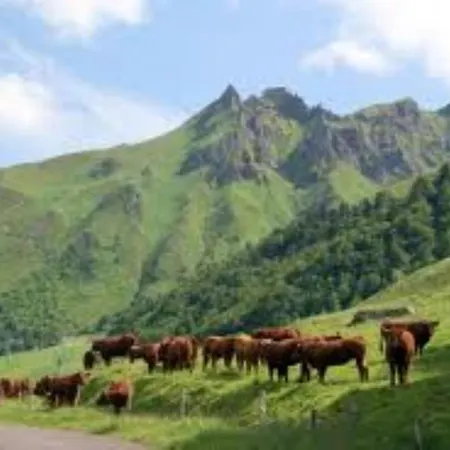 Tulipe, 5 Personnes, Entre Sancy Et Volcans D'auvergne Apartment Orcival