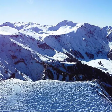 Tulipe, 5 Personnes, Entre Sancy Et Volcans D'auvergne *